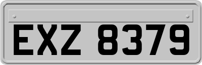 EXZ8379