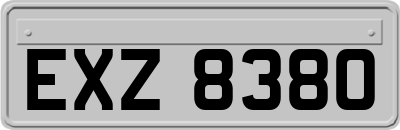 EXZ8380