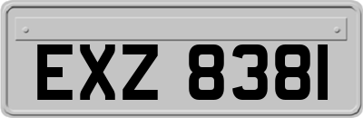 EXZ8381