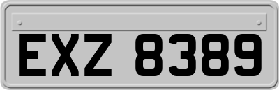EXZ8389