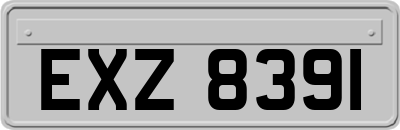 EXZ8391