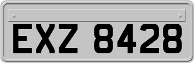 EXZ8428