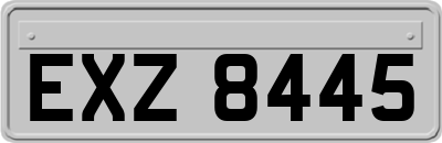 EXZ8445
