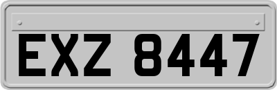 EXZ8447