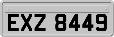 EXZ8449