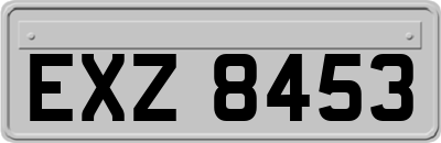 EXZ8453