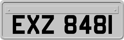 EXZ8481