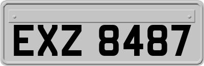 EXZ8487
