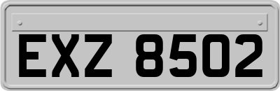 EXZ8502