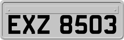 EXZ8503