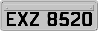 EXZ8520