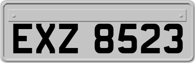 EXZ8523