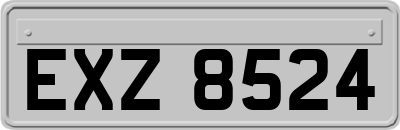 EXZ8524