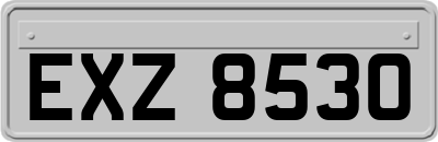 EXZ8530