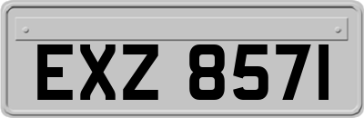EXZ8571