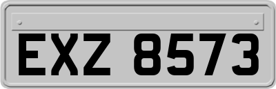 EXZ8573