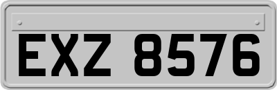 EXZ8576