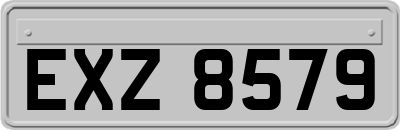 EXZ8579