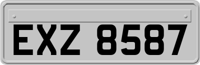 EXZ8587