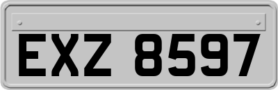 EXZ8597