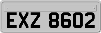 EXZ8602