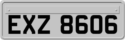 EXZ8606