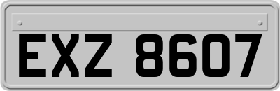 EXZ8607