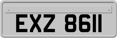EXZ8611