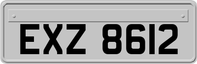 EXZ8612