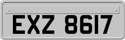 EXZ8617