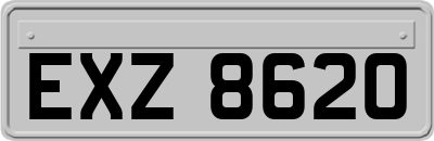 EXZ8620