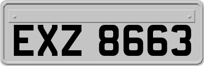 EXZ8663