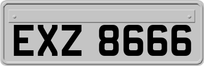 EXZ8666