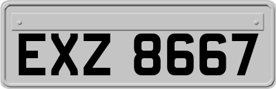 EXZ8667