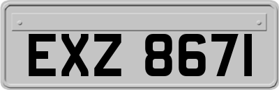 EXZ8671