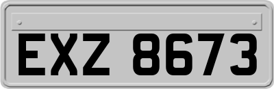 EXZ8673