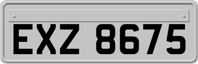 EXZ8675