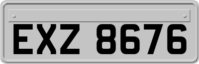 EXZ8676