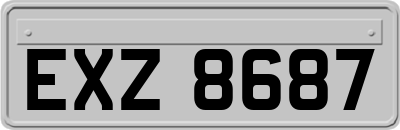 EXZ8687