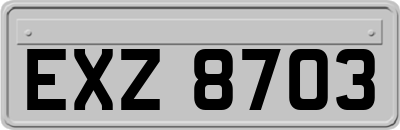 EXZ8703