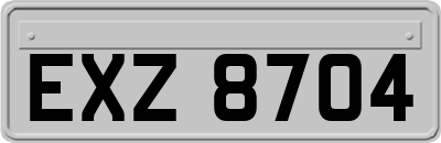 EXZ8704