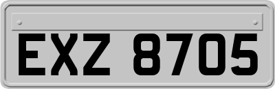 EXZ8705