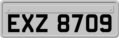 EXZ8709