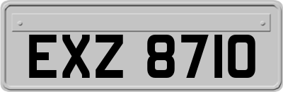 EXZ8710