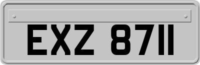 EXZ8711