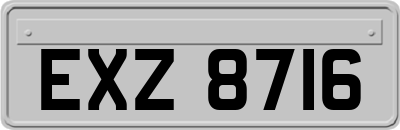 EXZ8716