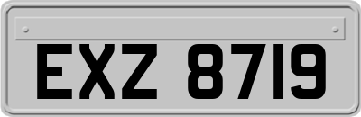 EXZ8719