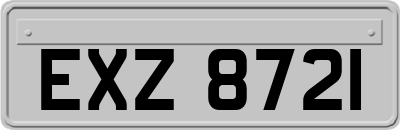 EXZ8721