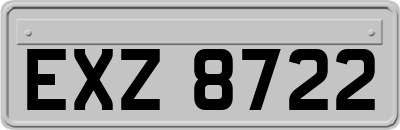 EXZ8722