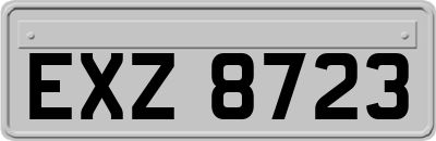 EXZ8723